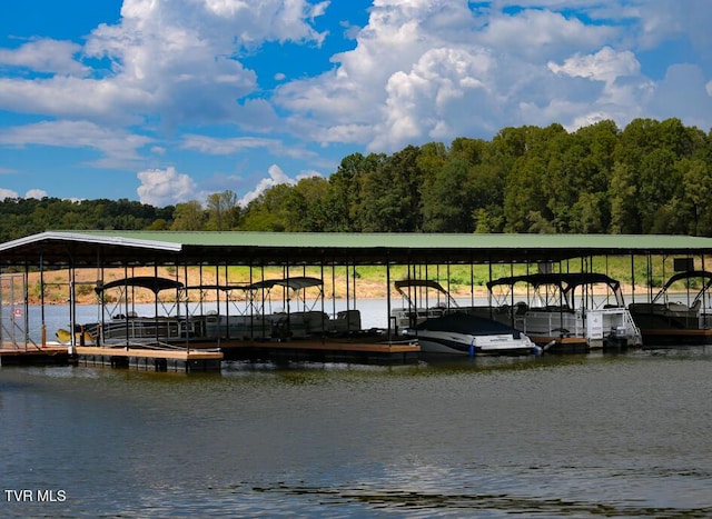 612 Harbor Point Dr, Johnson City, TN 37615 - photo 17