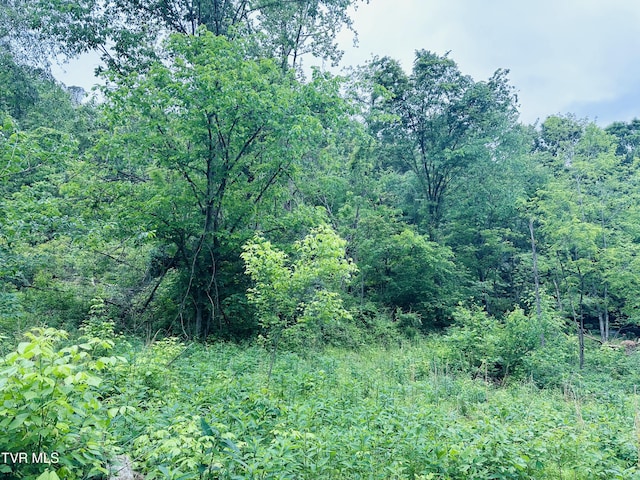 286 Jenkins Hollow Rd, Elizabethton, TN 37643 - photo 20
