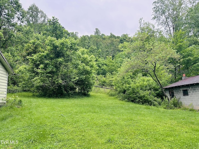 286 Jenkins Hollow Rd, Elizabethton, TN 37643 - photo 13