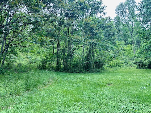 286 Jenkins Hollow Rd, Elizabethton, TN 37643 - photo 21