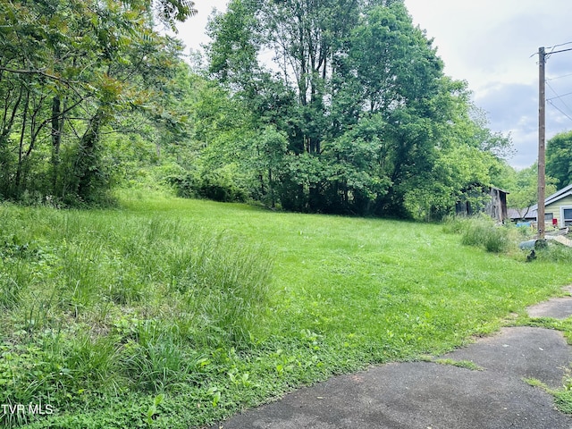 286 Jenkins Hollow Rd, Elizabethton, TN 37643 - photo 22