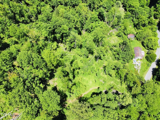 286 Jenkins Hollow Rd, Elizabethton, TN 37643 - photo 4