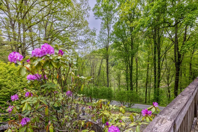 240 Old Railroad Grade Rd, Roan Mountain, TN 37687 - view of local wilderness