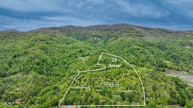 240 Old Railroad Grade Rd, Roan Mountain, TN 37687 - aerial overview of property's location with a forest, property parcel outlined, and mountains