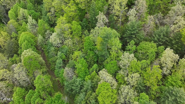 240 Old Railroad Grade Rd, Roan Mountain, TN 37687 - aerial view of a forest