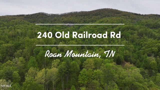 240 Old Railroad Grade Rd, Roan Mountain, TN 37687 - view of a document