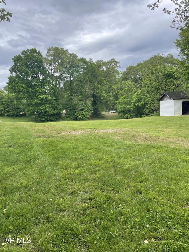 380 Oak Grove Rd, Johnson City, TN 37615 - view of green lawn featuring a view of trees