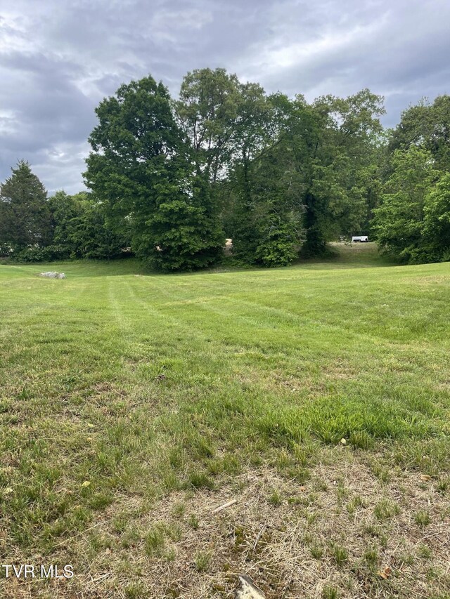 380 Oak Grove Rd, Johnson City, TN 37615 - view of green lawn featuring a view of trees