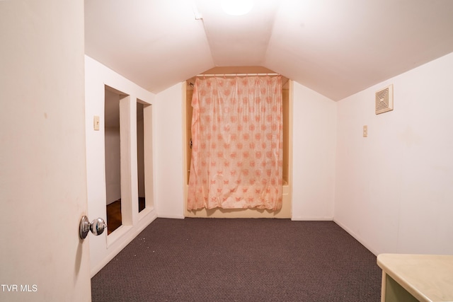 380 Oak Grove Rd, Johnson City, TN 37615 - additional living space featuring lofted ceiling and dark carpet