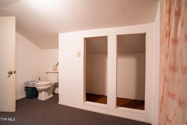 380 Oak Grove Rd, Johnson City, TN 37615 - bathroom with toilet, vaulted ceiling, and baseboards