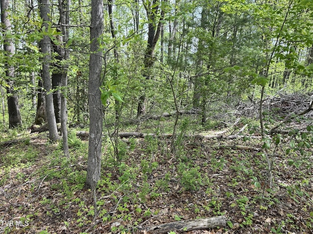 TBD Highland St, Wise, VA 24293