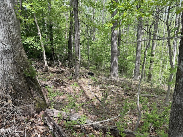 TBD Highland St, Wise, VA 24293