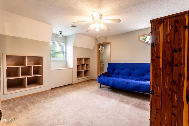 2480 Elk Way, Newport, TN 37821 - sitting room with plenty of natural light, carpet floors, ceiling fan, and a textured ceiling