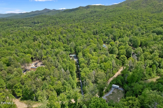 drone / aerial view of a forest and mountains