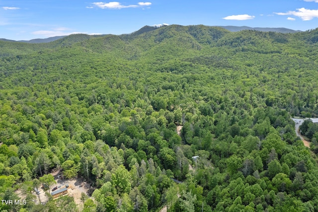 view of mountain background with a heavily wooded area