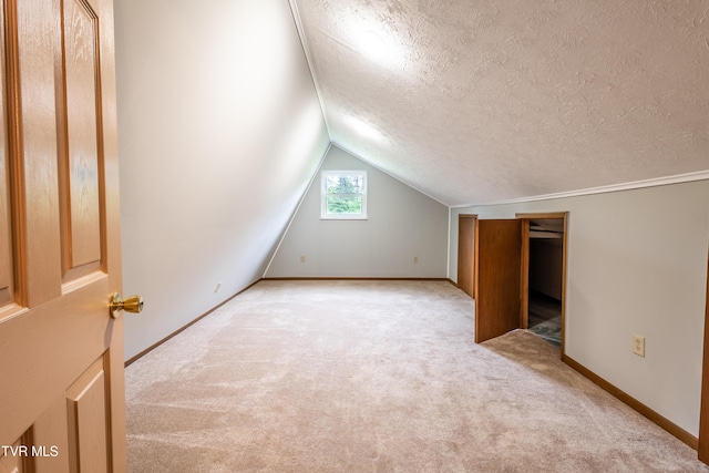2482-2480 Elk Way, Newport, TN 37821 - additional living space with light colored carpet, a textured ceiling, lofted ceiling, and baseboards