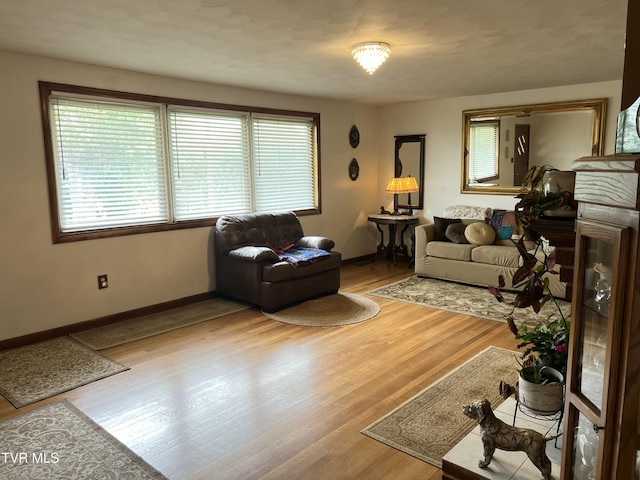 457 Devault St, Church Hill, TN 37642 - living room featuring healthy amount of natural light, wood finished floors, and baseboards
