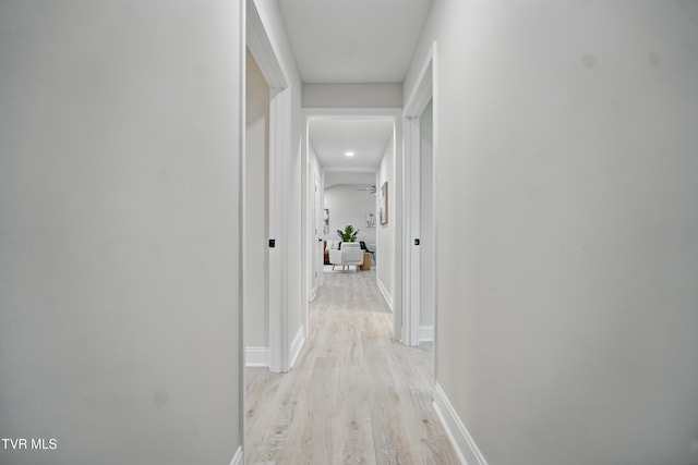 1225 Bristol View Dr, Bristol, VA 24201 - hallway with light wood-style floors and baseboards