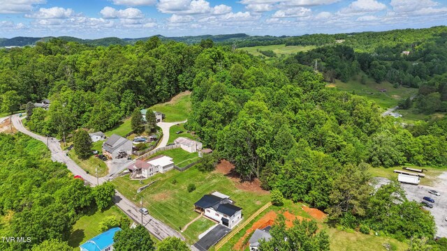 1225 Bristol View Dr, Bristol, VA 24201 - drone / aerial view of a forest