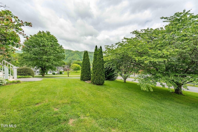 522 Crook St, Hampton, TN 37658 - view of grassy yard
