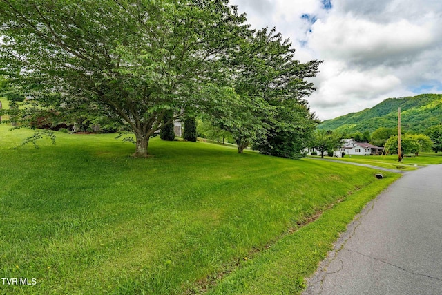 522 Crook St, Hampton, TN 37658 - view of green lawn featuring a mountain view