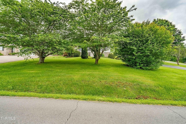 522 Crook St, Hampton, TN 37658 - view of green lawn
