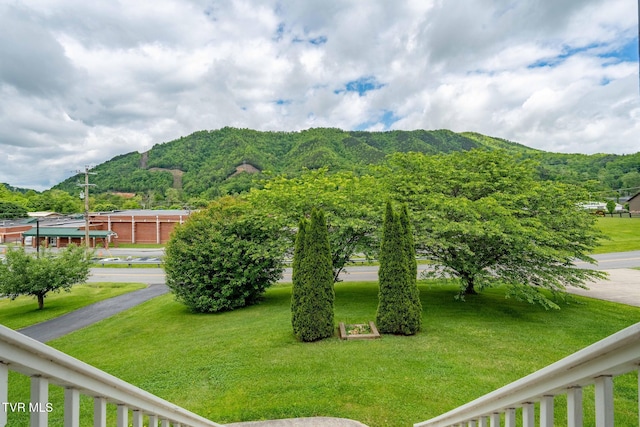 522 Crook St, Hampton, TN 37658 - view of mountain background