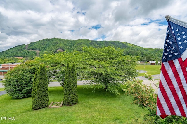 522 Crook St, Hampton, TN 37658 - view of mountain backdrop