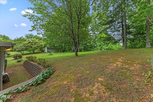 view of grassy yard