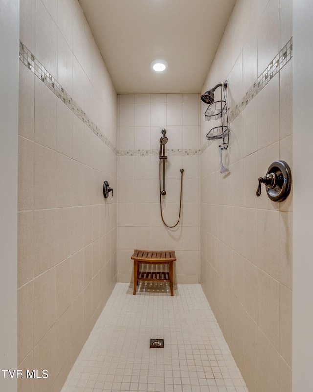 1001 Willows Trace Dr, Johnson City, TN 37601 - bathroom with tiled shower