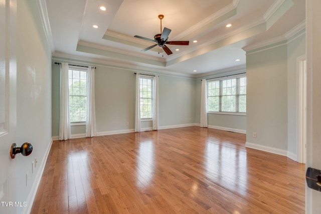 1001 Willows Trace Dr, Johnson City, TN 37601 - spare room with light wood-style flooring, ceiling fan, a raised ceiling, ornamental molding, and baseboards