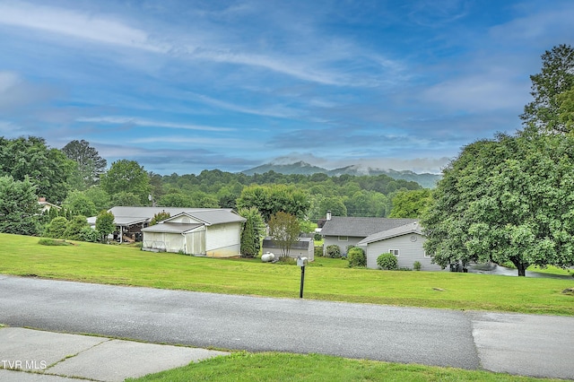 145 Linda Hts, Fall Branch, TN 37656 - view of road with a mountain view