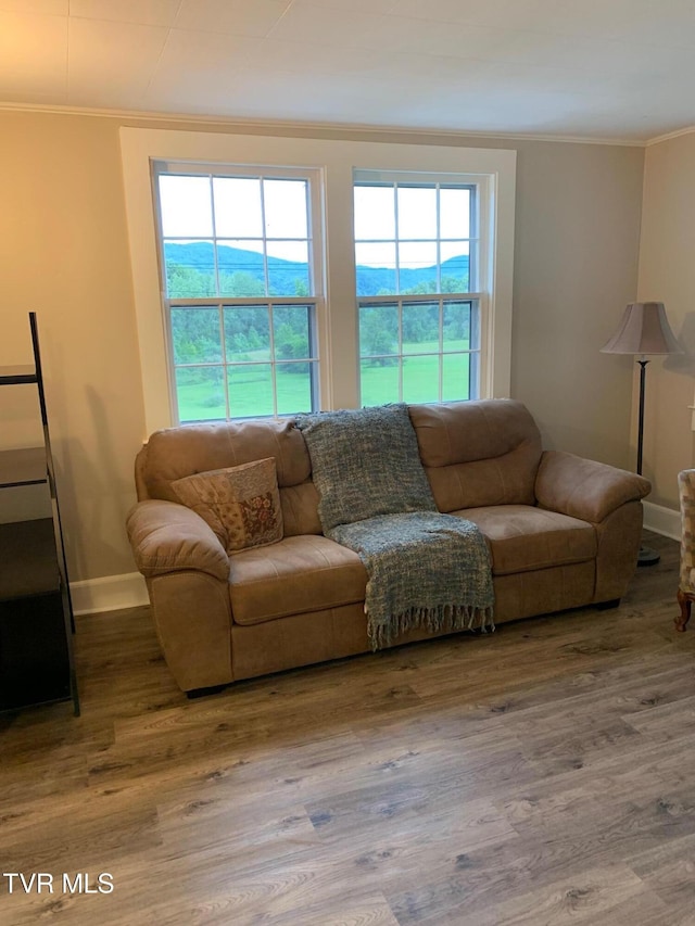 626 N Mohawk Dr, Erwin, TN 37650 - living room with ornamental molding, wood finished floors, and baseboards