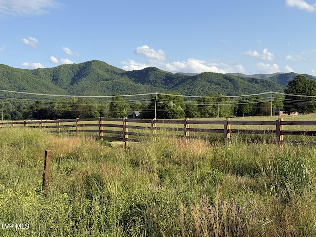 324 Bill Mauk Rd, Chuckey, TN 37641