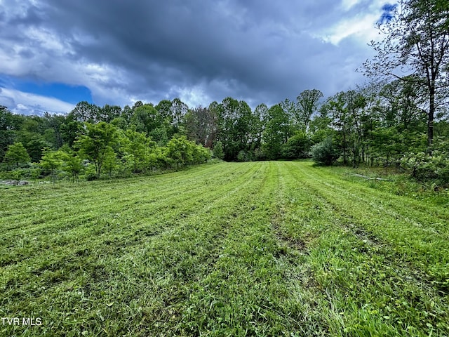 808 Waddell Rd, Mountain City, TN 37683 - photo 4
