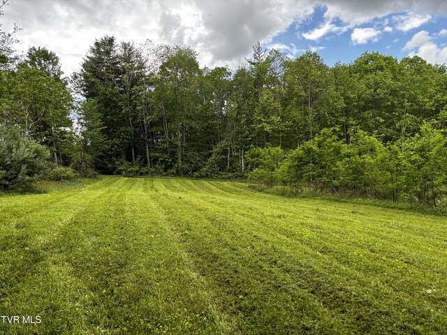 808 Waddell Rd, Mountain City, TN 37683 - photo 5