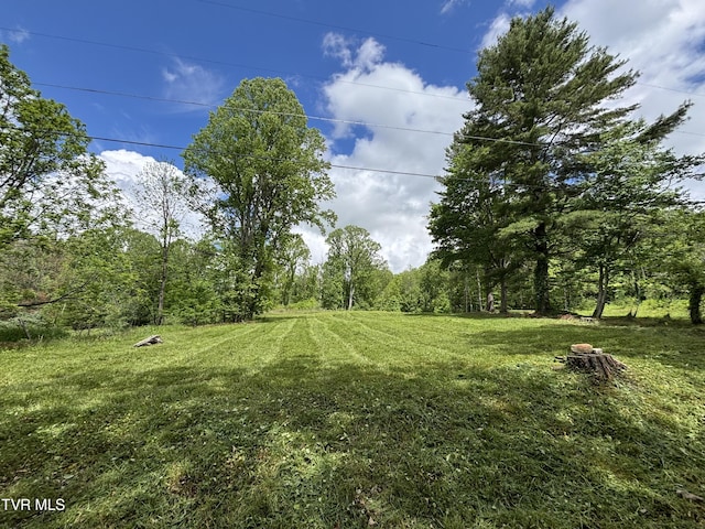 808 Waddell Rd, Mountain City, TN 37683 - photo 1