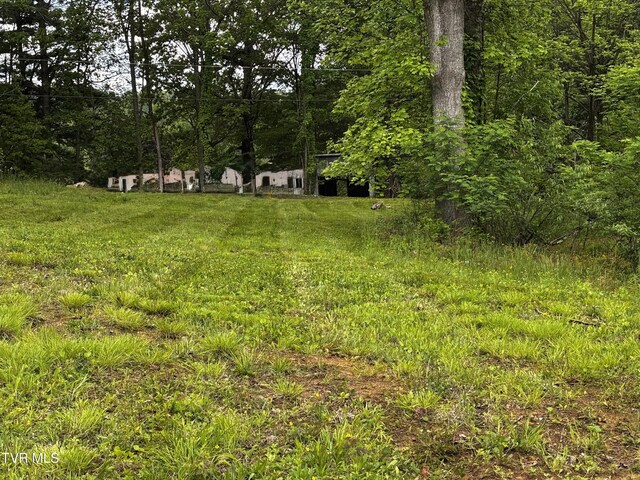 808 Waddell Rd, Mountain City, TN 37683 - photo 11