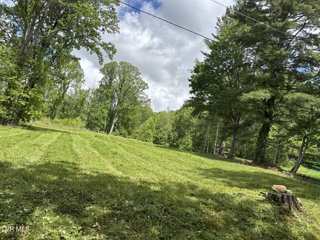 808 Waddell Rd, Mountain City, TN 37683 - photo 7