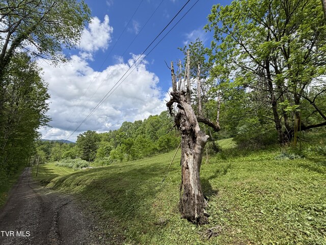 808 Waddell Rd, Mountain City, TN 37683 - photo 8