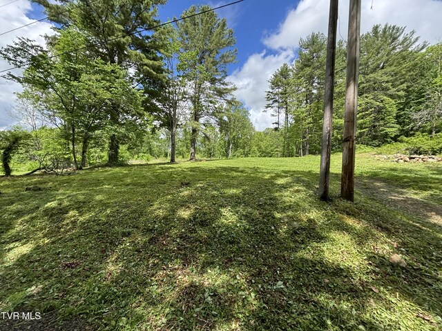 808 Waddell Rd, Mountain City, TN 37683 - photo 9