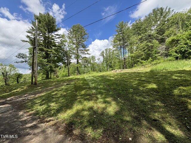808 Waddell Rd, Mountain City, TN 37683 - photo 10