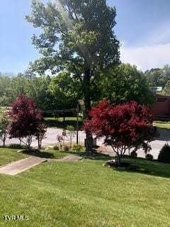 126 Boone St, Jonesborough, TN 37659 - photo 6