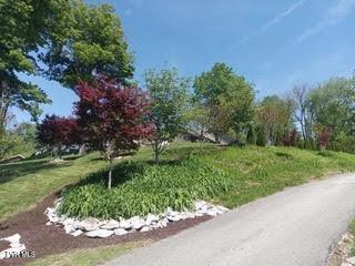 126 Boone St, Jonesborough, TN 37659 - photo 13