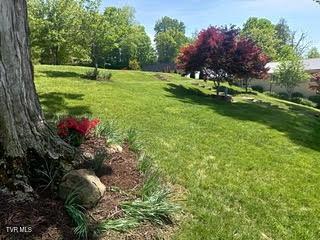 126 Boone St, Jonesborough, TN 37659 - photo 10