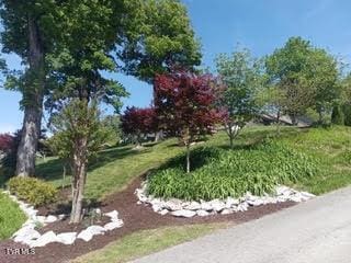 126 Boone St, Jonesborough, TN 37659 - photo 1