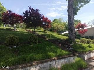126 Boone St, Jonesborough, TN 37659 - photo 4