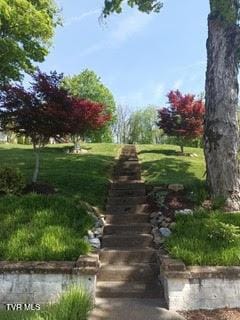 126 Boone St, Jonesborough, TN 37659 - photo 5
