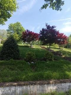 126 Boone St, Jonesborough, TN 37659 - photo 7