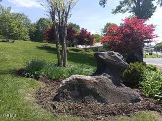 126 Boone St, Jonesborough, TN 37659 - photo 8